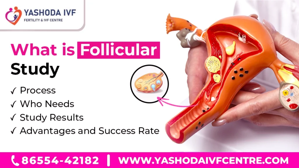 Follicular Study Know everything process, success rate & importance