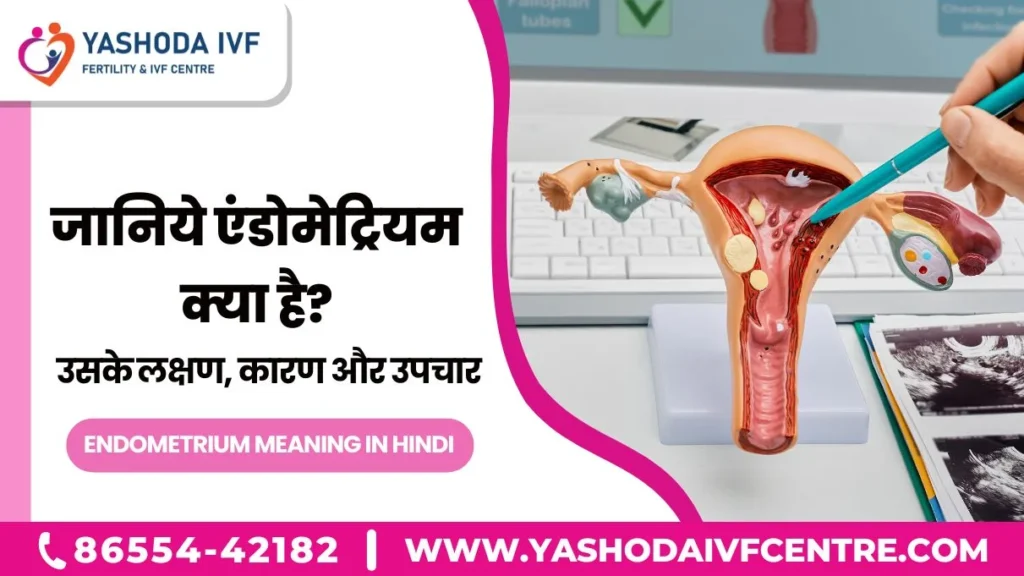 endometrium-meaning-in-hindi -एंडोमेट्रियम-का-अर्थ-हिंदी-मे