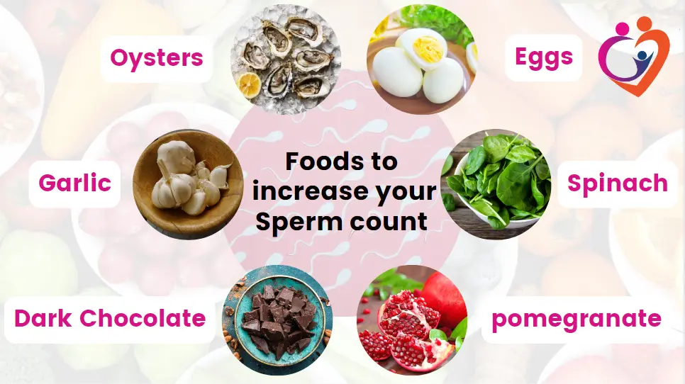 foods-to-increase--your-sperm-count-yashoda-ivf-blog