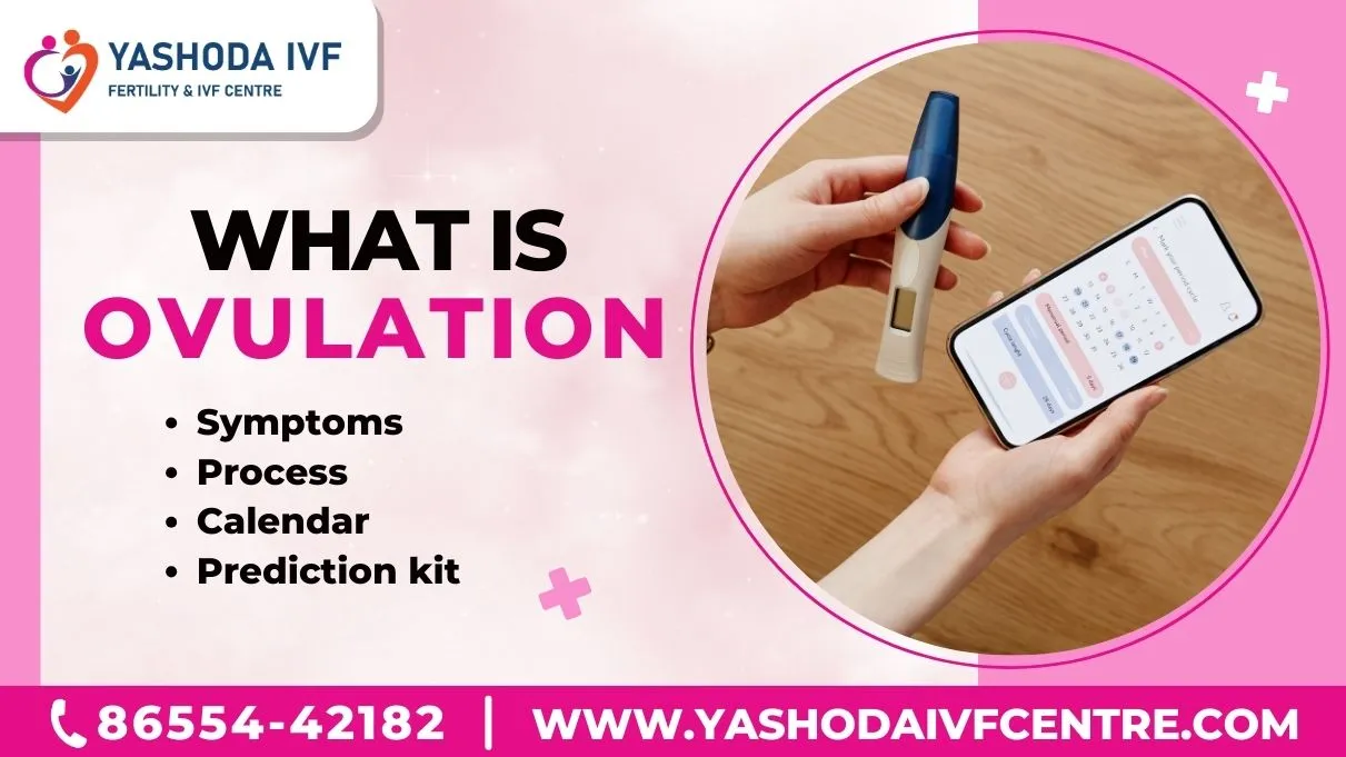 what-is-ovulation-and-how-to-navigate-it-with-yashoda-ivf